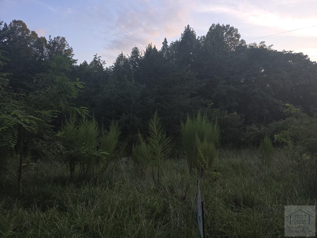 0 Jarrett Dr