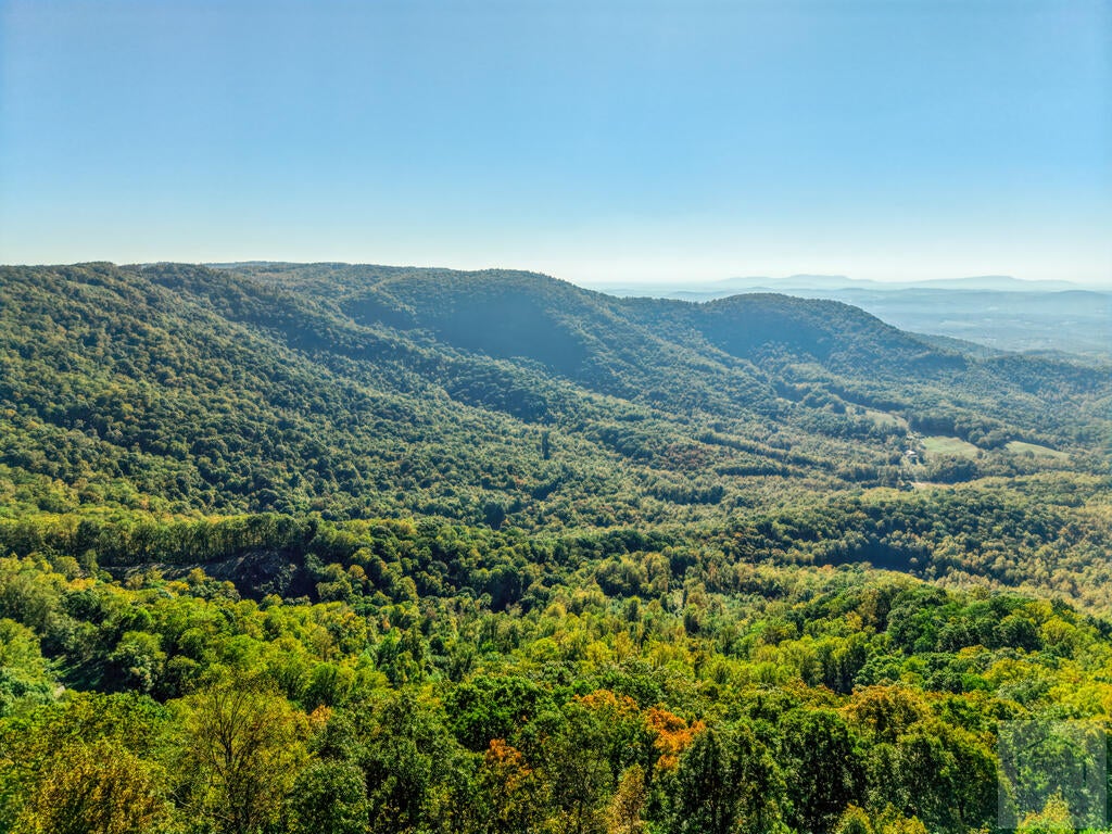 00 Falcon Ridge Road