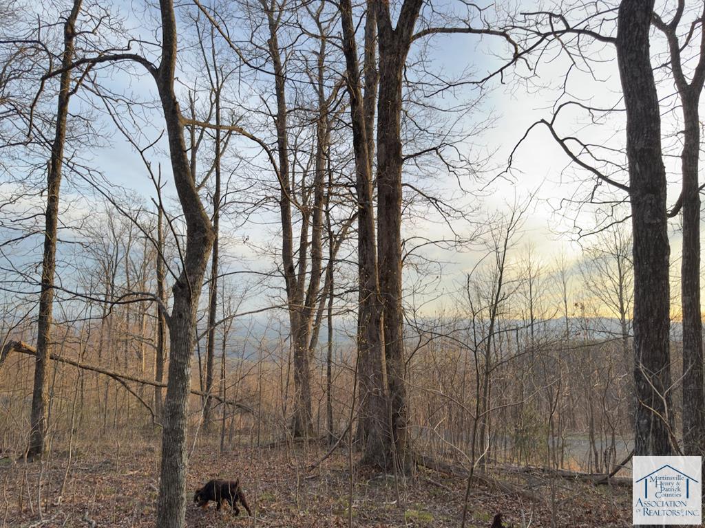 00 Falcon Ridge Road