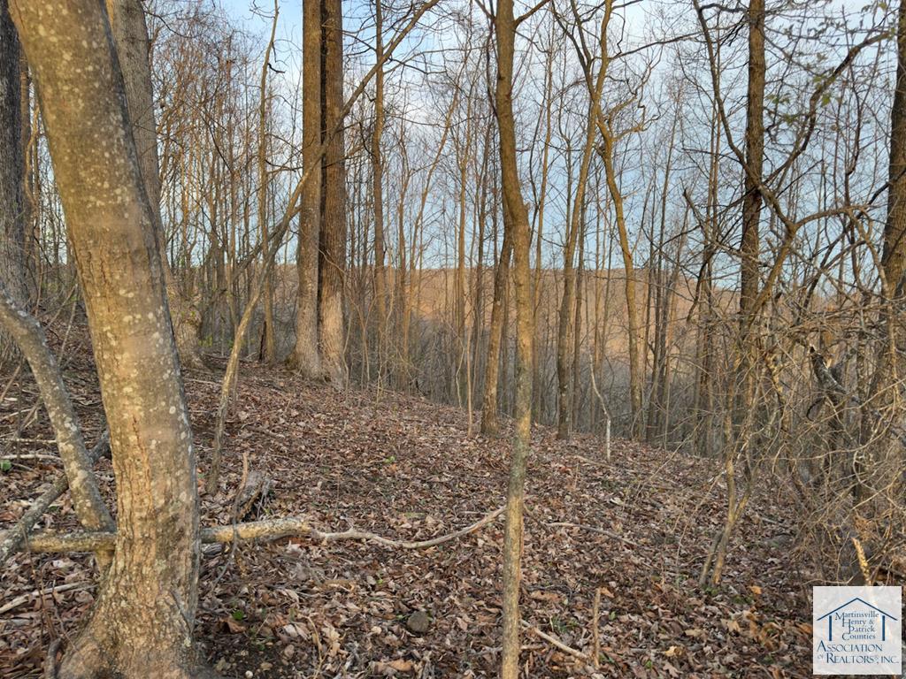 00 Falcon Ridge Road