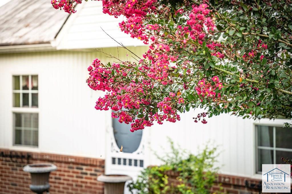 41 Boxwood Ln