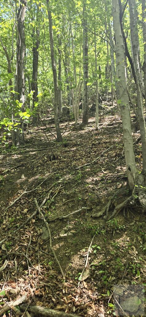 00 Goose Creek Lane