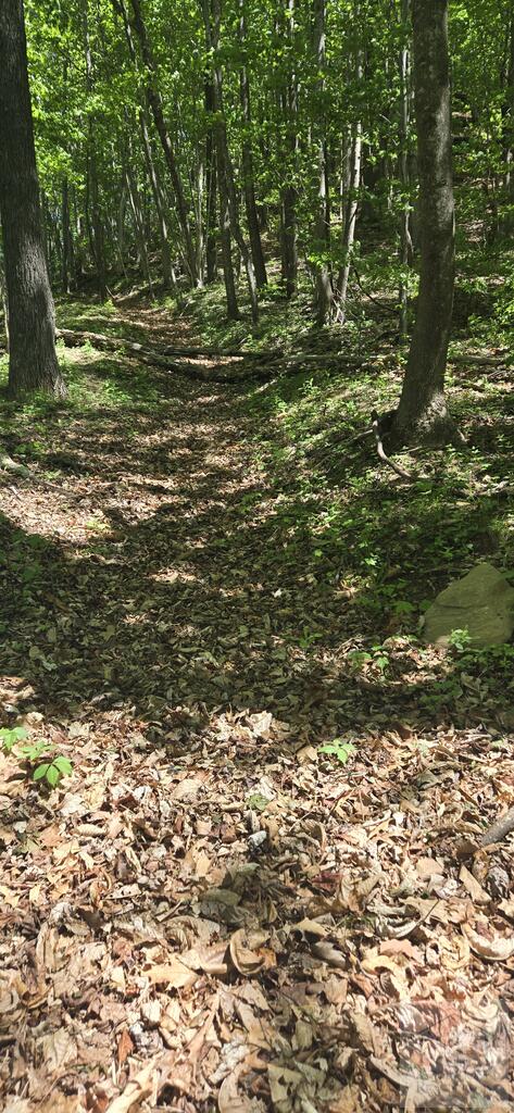 00 Goose Creek Lane