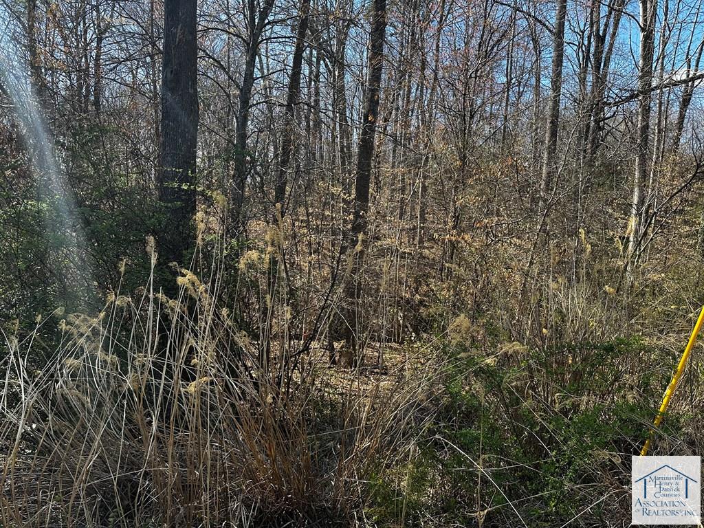 TBD Bassett Heights Ext
