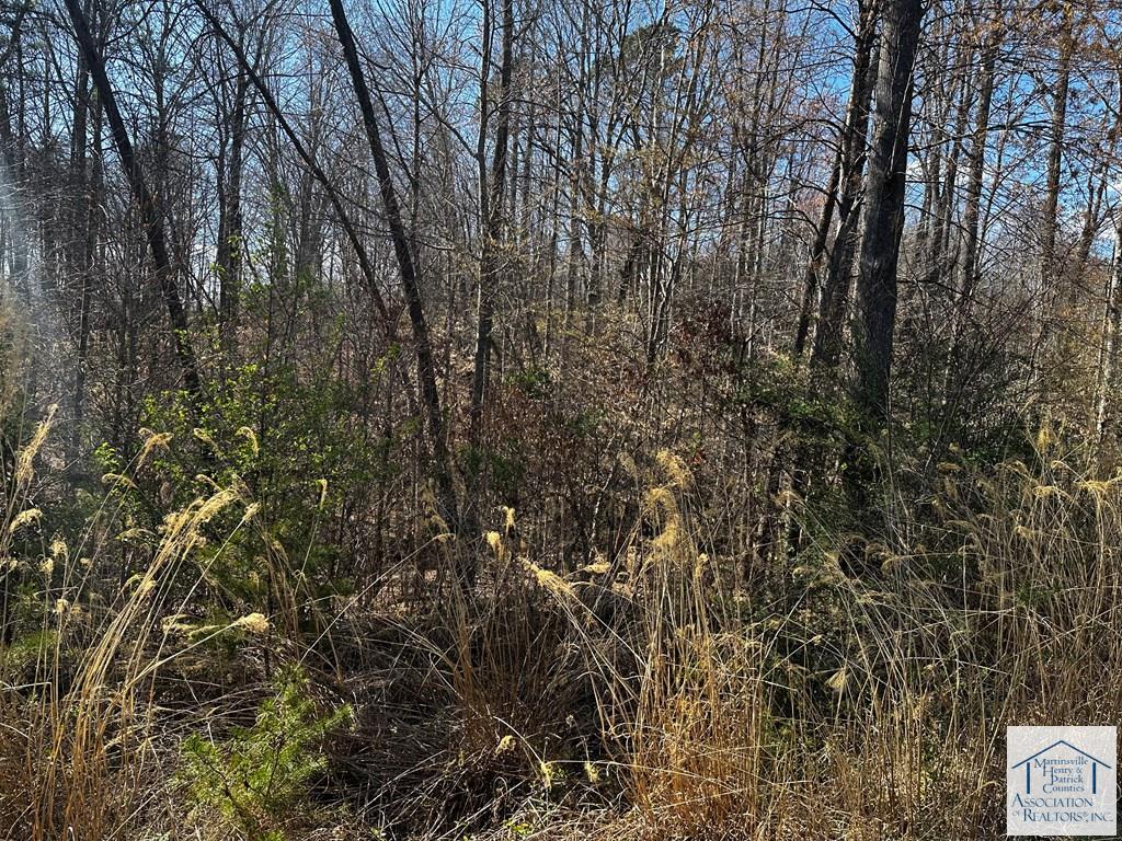 TBD Bassett Heights Ext