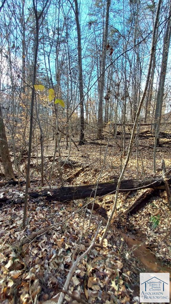 TBD Bassett Heights Ext