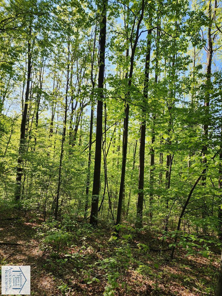 00 Woolwine Hwy