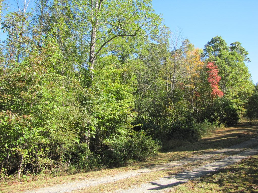 Lot 15 Melmark Acres Trail