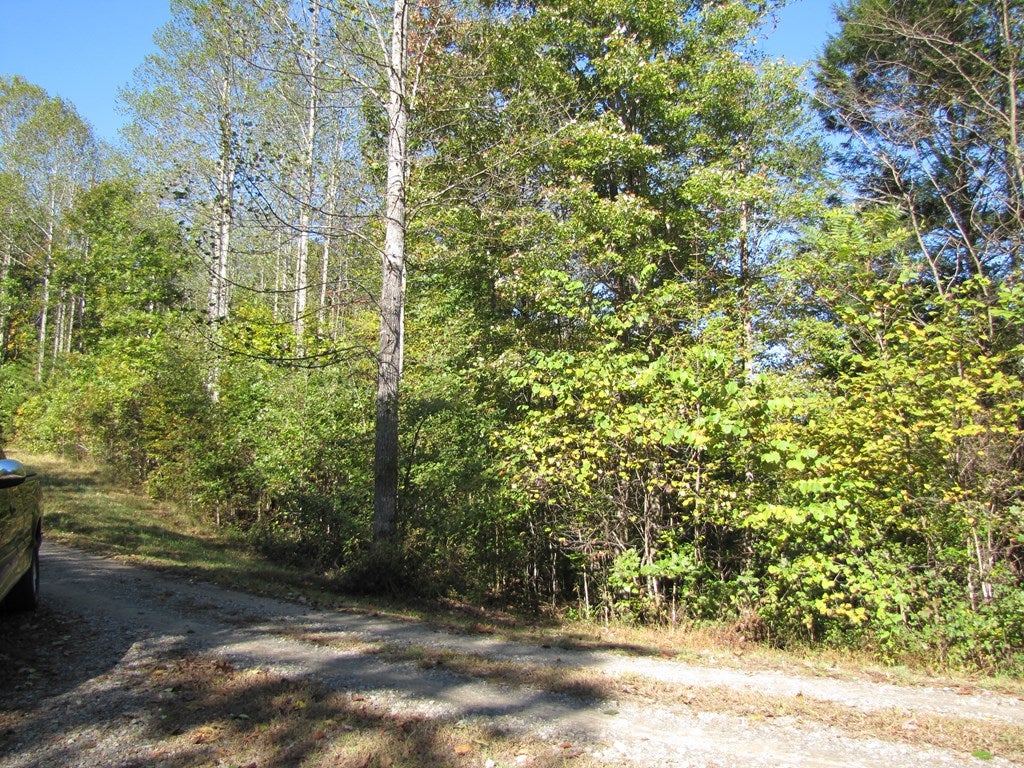 Lot 15 Melmark Acres Trail