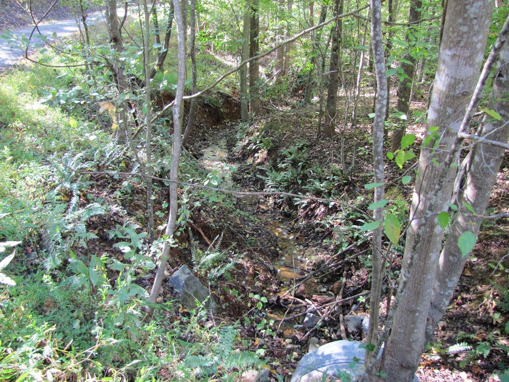 Lot 42 Melmark Acres Trail