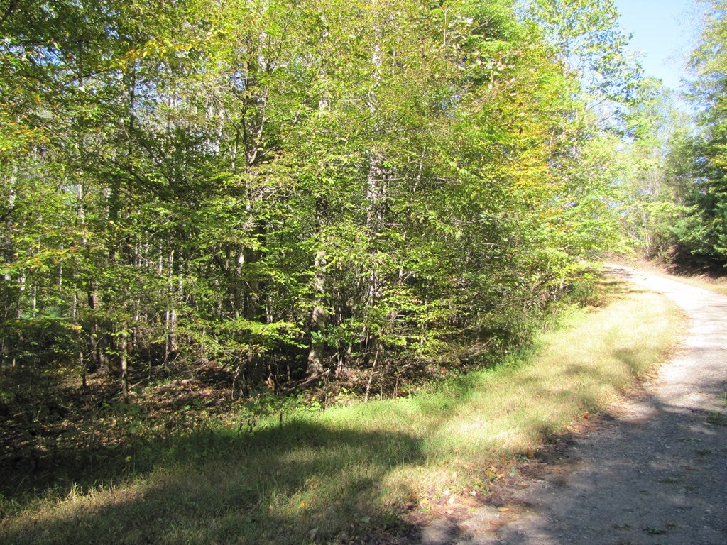 Lot 42 Melmark Acres Trail