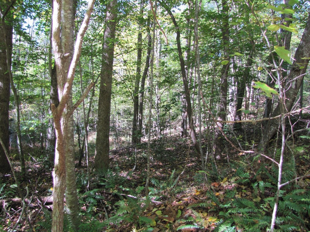Lot 42 Melmark Acres Trail
