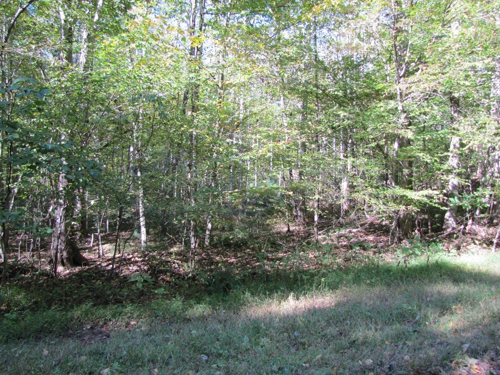 Lot 42 Melmark Acres Trail