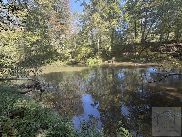 0TBD Kelly Mill Rd