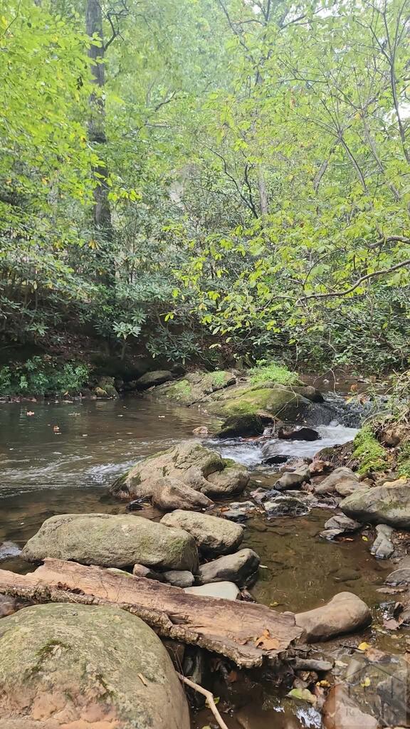 580 Poorhouse Creek Road