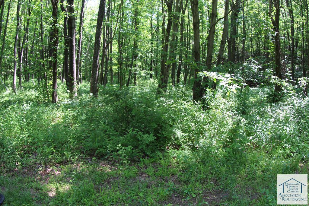 0 Misty Acres Ln