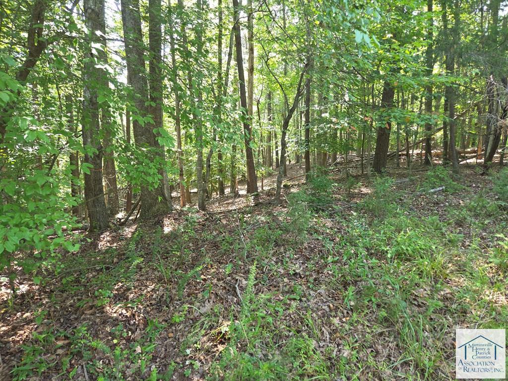 0 Stonewall Jackson Trail