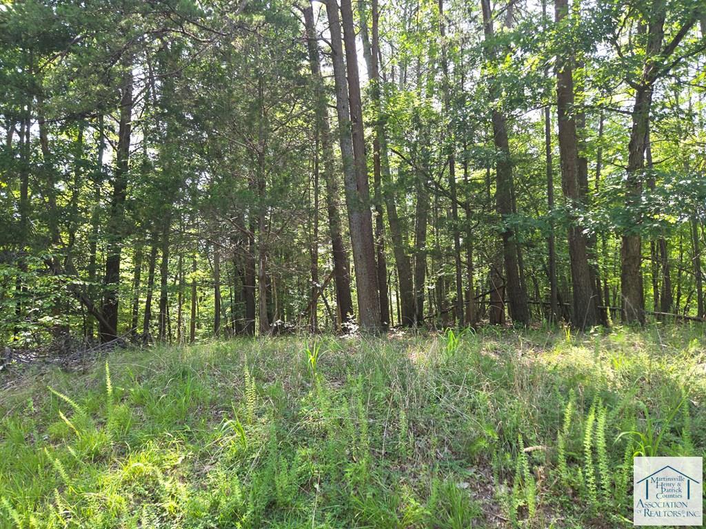 0 Stonewall Jackson Trail