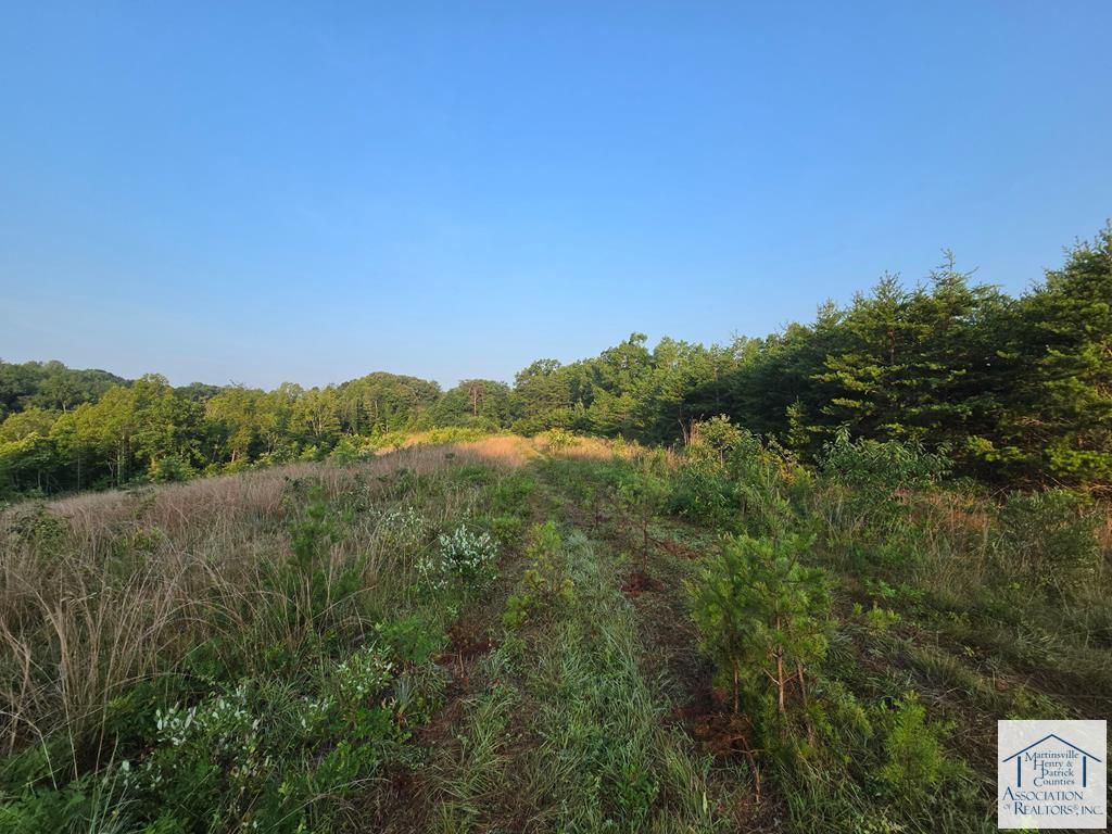 494 Fox Hunt Club Rd