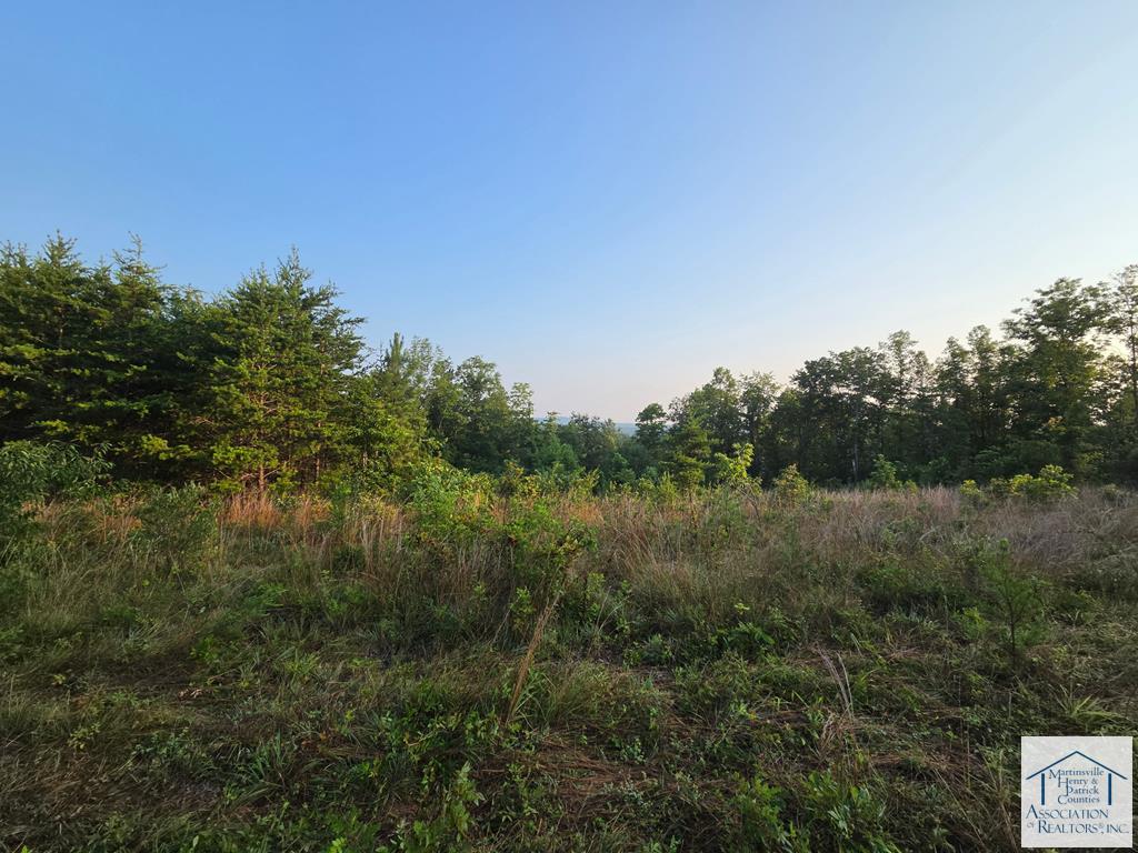 494 Fox Hunt Club Rd