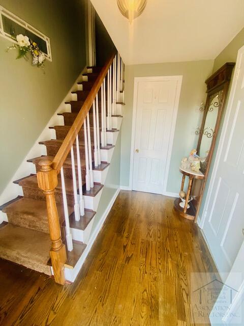 74 Dora Trail