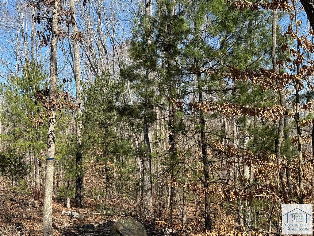 00 Abram Penn Hwy