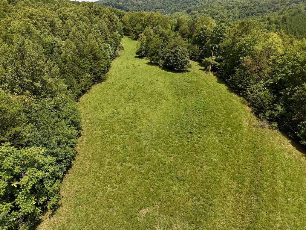 00 Willard Creek Ln