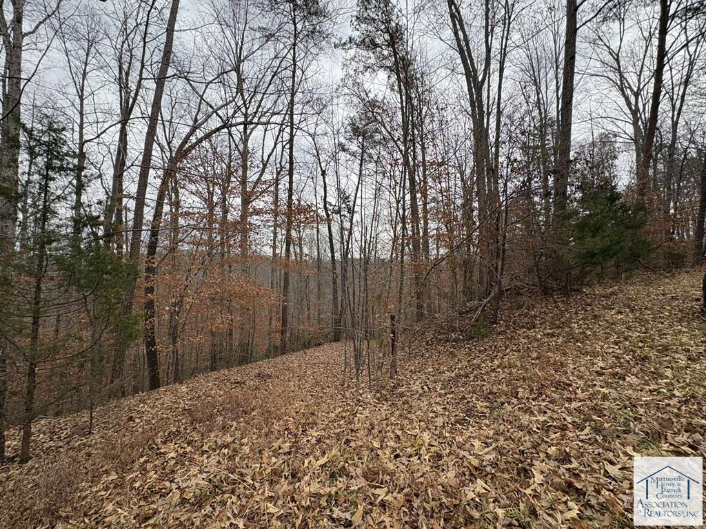 0 Pine Valley Dr