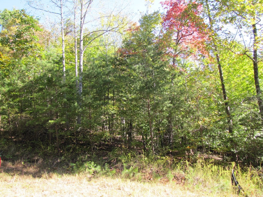 Lot 11 Melmark Acres Trail