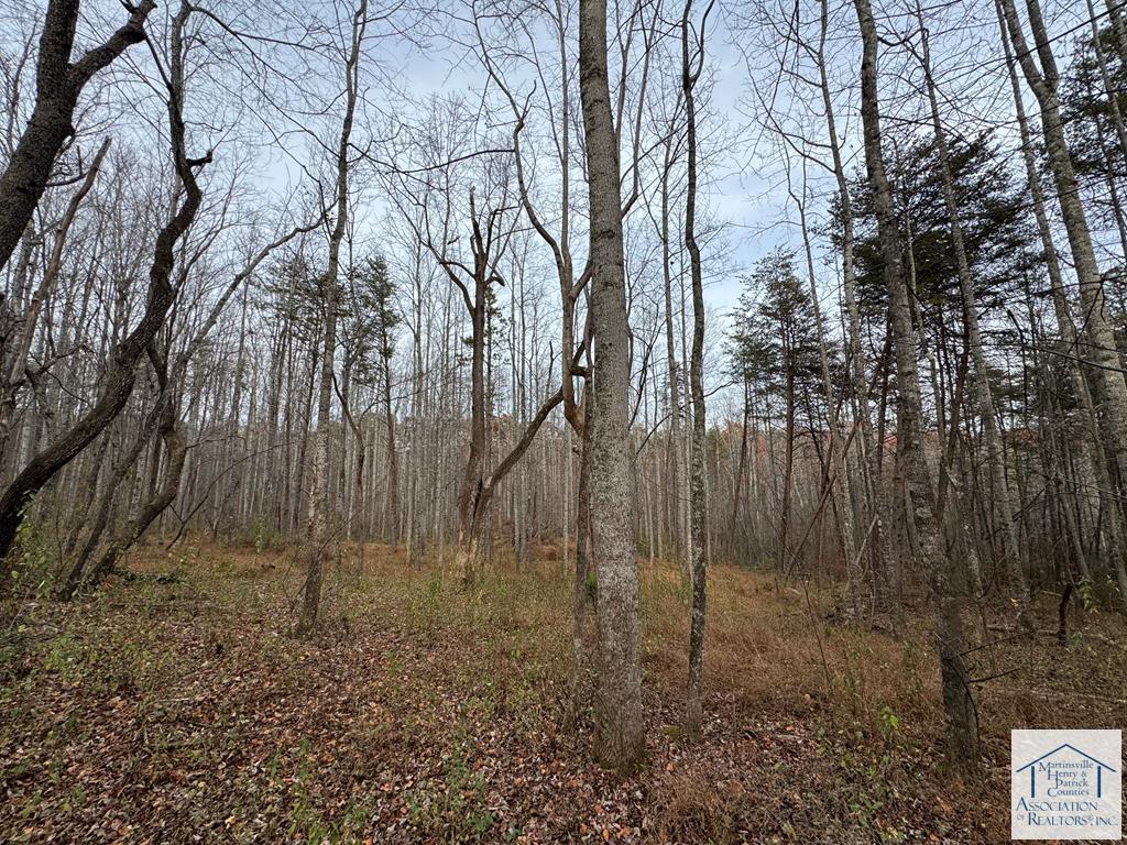 0 Pine Knoll Farms