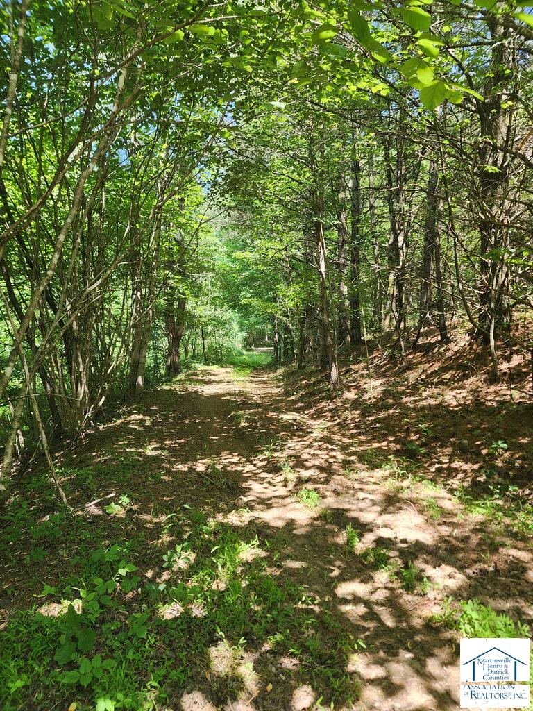 662 Turnip Patch Road