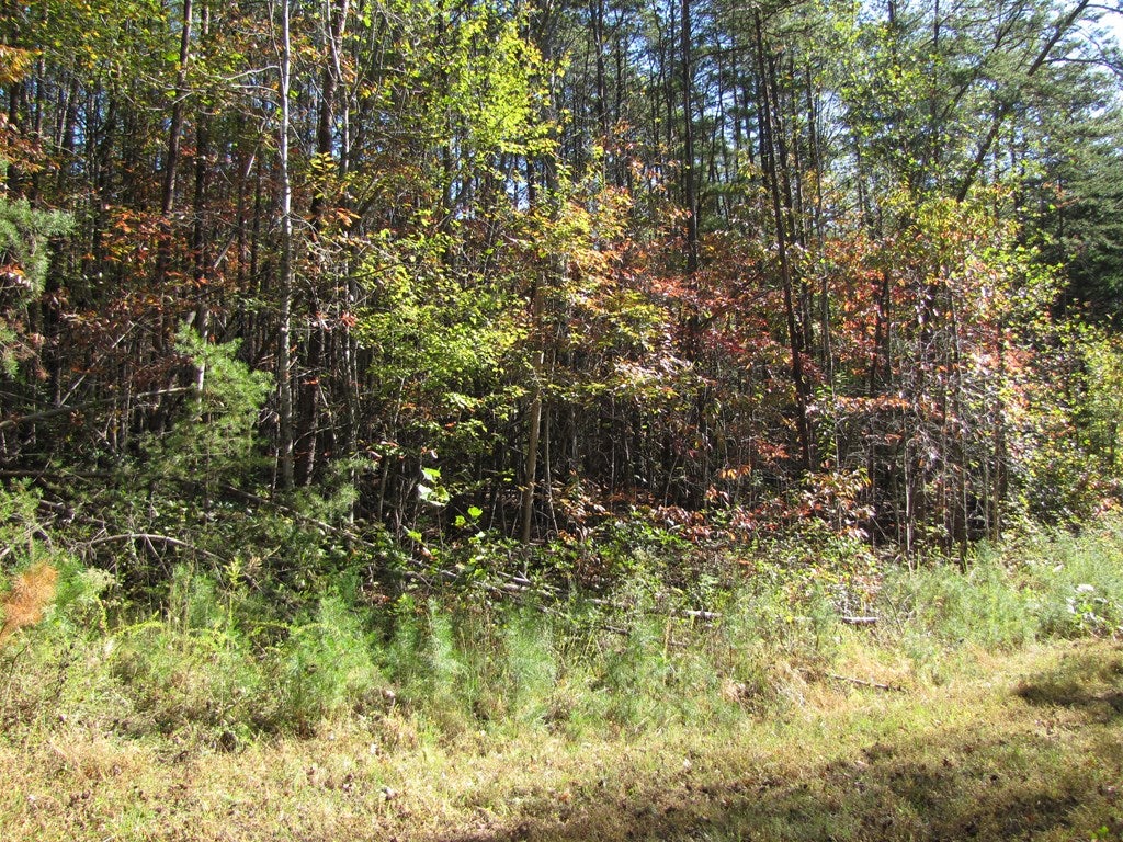 Lot 12 Melmark Acres Trail