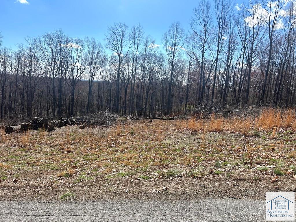 LOT 33 Pine Knoll Farms Loop