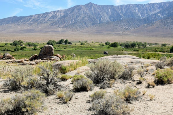 1985 INDIAN SPRINGS DR, LONE PINE, CA 93545 - Image 15594dfd1f623091073e4391cf974ca3/4281987367