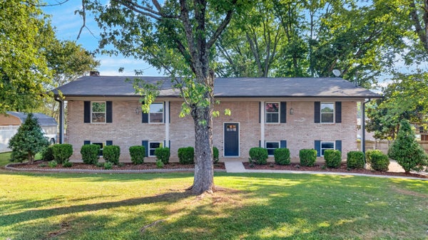 496 PHYLLIS CIR, TALBOTT, TN 37877 - Image 04f0e53d8d9c468e59ef19a0e4ff9721/3693155156