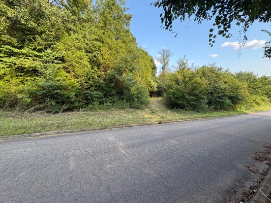 00 SECLUDED RIVER CIRCLE, PARROTTSVILLE, TN 37843 - Image 054e0d69525ac36616a2bd797e4745be/3361768959