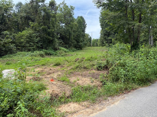 YELLOW SPRINGS RD, COSBY, TN 37722 - Image 19e9ab4744e4e8f823d2671b3e8debbe/2097872549