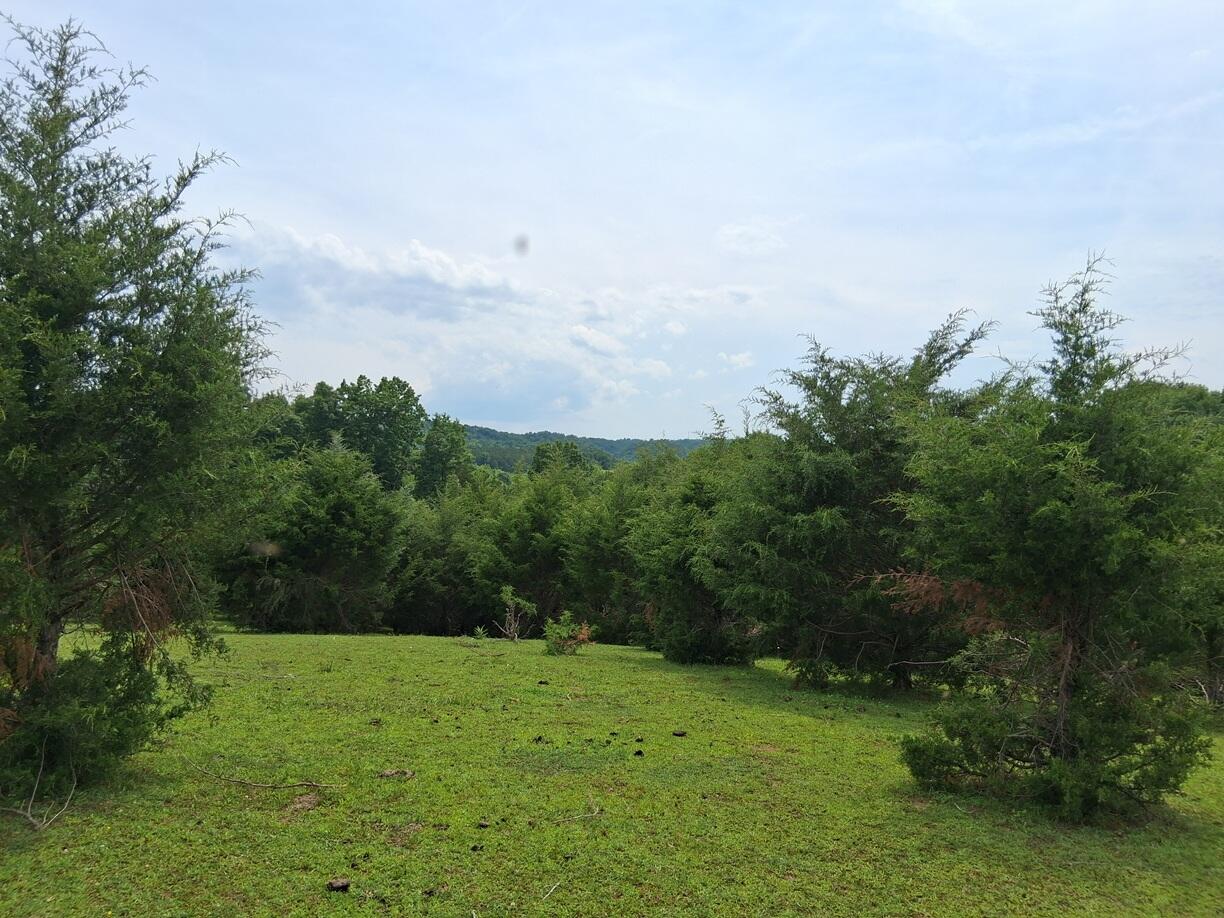 Pasture