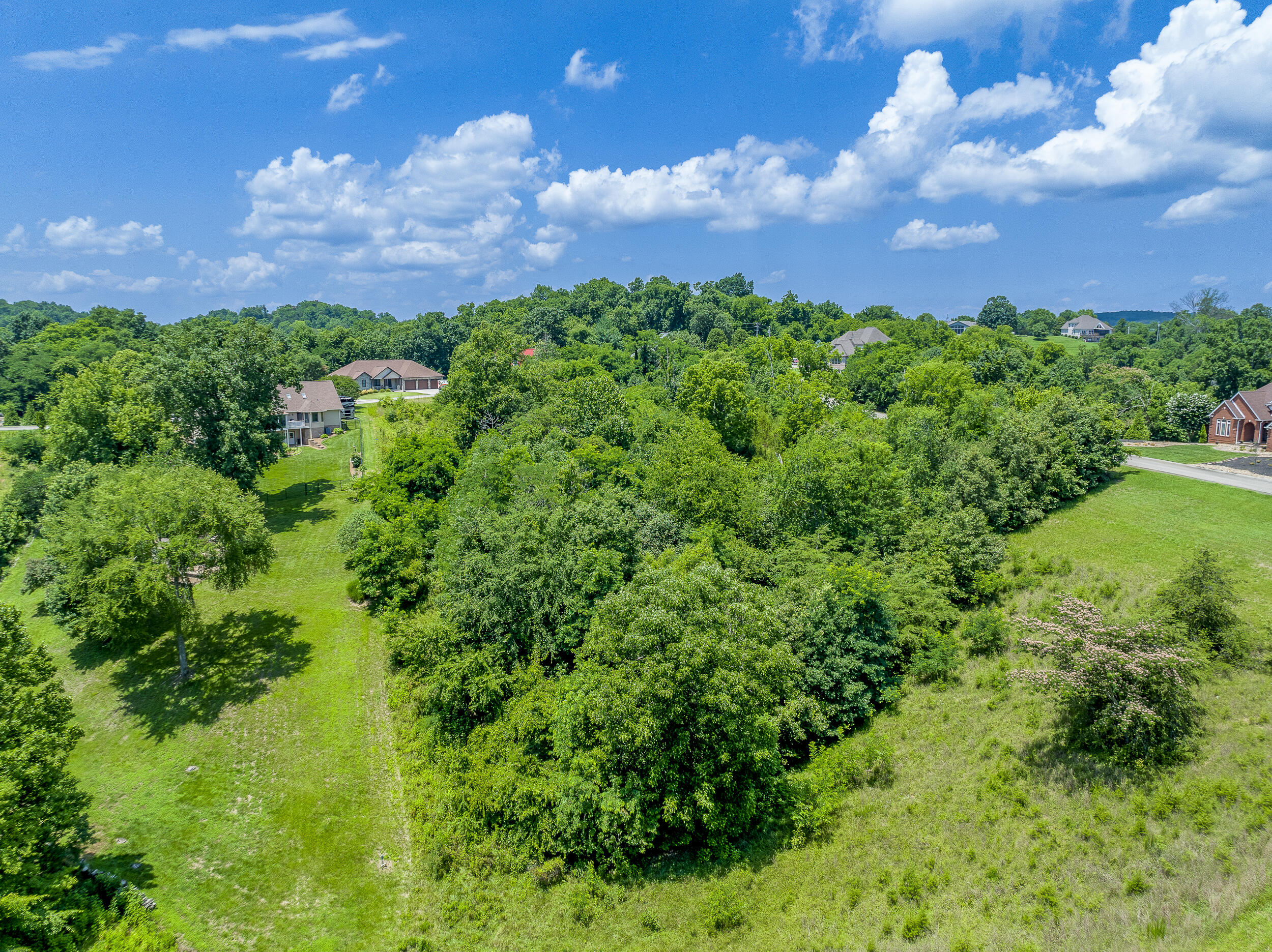 044-ScenicShores-Lots606163-Dandridge-TN