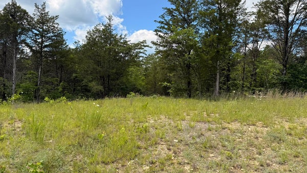 156 WALKER CEMETERY RD, BULLS GAP, TN 37711 - Image 6d0c8951e34823dd1e40b82dcbc17be8/1737407146