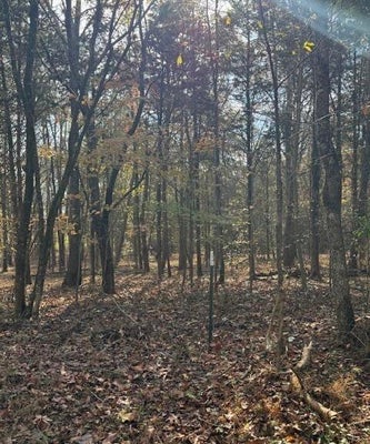 LOT 1031 MEADOW COURT, BANEBERRY, TN 37890 - Image 6f42e1d2a5efea39113fb54bbe89aadb/2163110483