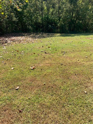 145 DULANEY RD, MOSHEIM, TN 37818 - Image 70f03f89bef0cb6a8d2bcb1f2cb0e547/2086040121