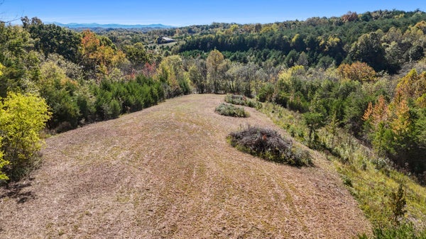 145 DULANEY RD, MOSHEIM, TN 37818 - Image 70f03f89bef0cb6a8d2bcb1f2cb0e547/3198655465