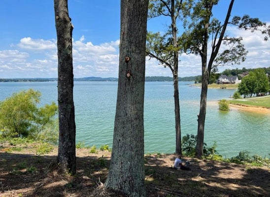 3608 FERRY CREST WAY, BANEBERRY, TN 37890 - Image 7cba79b4fc005ee7d6925c90acb3b52d/2110458728
