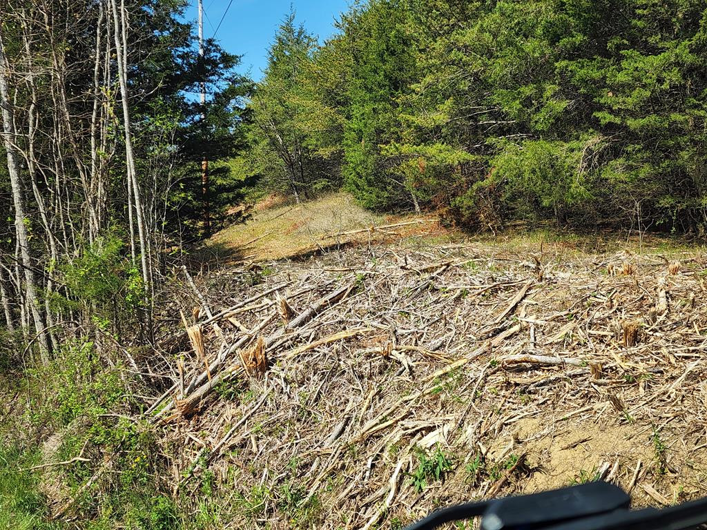 Photo 1 of 5 — ---- BUSLER Road, Bybee, TN 37713