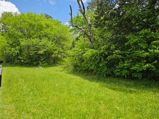 0 LONG CREEK RD, PARROTTSVILLE, TN 37843 - Image 86cdccab2fa873cce558ff82dfa1dac3/3352322438