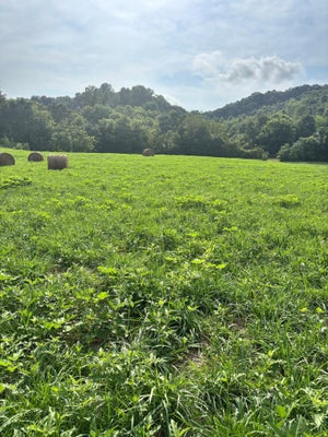 MCBRIDE RD, MORRISTOWN, TN 37814 - Image 94c9d430e41ffb553b583810b6c8c8a2/3786840037