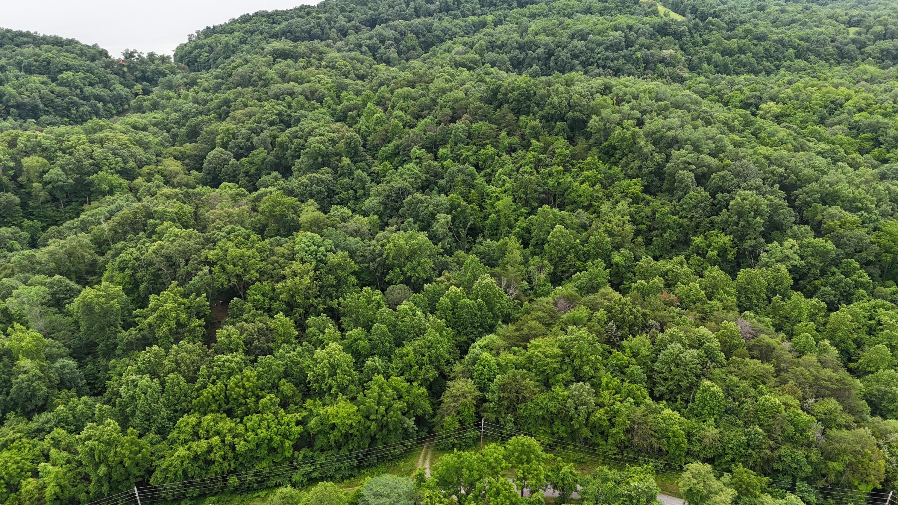 dji_fly_20250609_164742_0423_17495020659