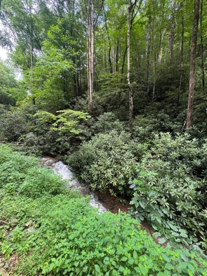 105 BUTLER BRANCH RD 12, GATLINBURG, TN 37738 - Image a88b1dc696b98cea098a900098e5ffad/845975414