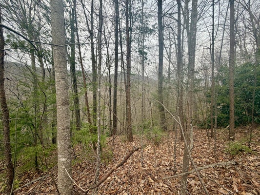 THISSA WAY, GATLINBURG, TN 37738 - Image ac5f48fbbcefbcdd611a4e6270f8f5ed/3909379188